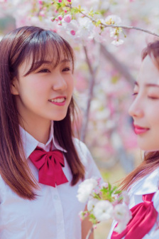 上位完整版